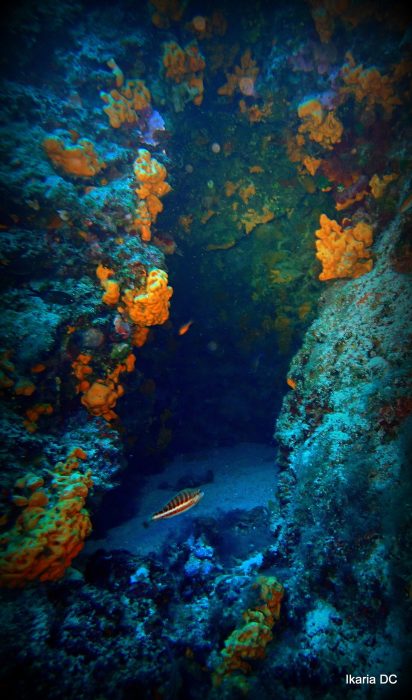 Fourni dupla zátony nyitó kép