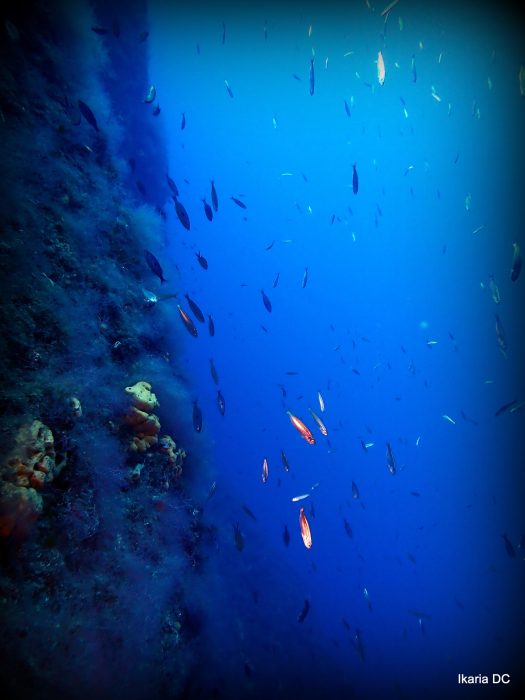 Fourni dupla zátony3